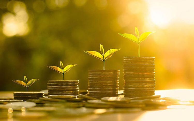 ¿Para qué nace la Plataforma de Equidad Crediticia?